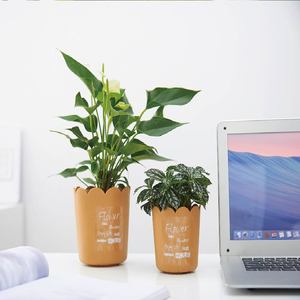 Maceta <span class=keywords><strong>de</strong></span> Plástico P502 con Pétalos, Moderna y Minimalista, <span class=keywords><strong>para</strong></span> Plantas <span class=keywords><strong>de</strong></span> Oficina, Bandeja Creativa Compacta <span class=keywords><strong>para</strong></span> Uso en Interiores - Product Image 6