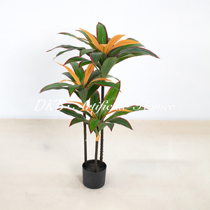 Wholesale High Quality Tropical Plant Decoration Dracaena <b>Tree</b> Eco-Friendly Home Decoration - Product Image 2