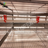 Ligne d'alimentation automatique pour volailles, type H, cage à poules pondeuses à 3-8 niveaux, galvanisation à chaud, 90-200