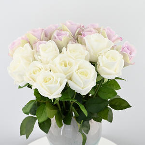 Pétalos de Rosa Kate Hidratantes de Alta Calidad con Textura Suave y Delgada, Tacto Realista y de Alta Fidelidad - Product Image 2