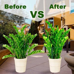 Bitki destek kafes Stakes Metal kafesleri domates gül çiçek asma için bahçe kazık büyük bitki destek halkası destekler - Product Image 4