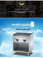 Four à frire commercial en acier inoxydable avec plaque de cuisson entièrement plate pour la cuisson rapide de viande, galettes et steaks, garantie 1 an, modèle