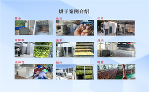 Armoire de séchage à pompe à chaleur haute performance KINKAI avec PLC et IoT, construction en acier inoxydable pour la transformation de viande, fruits et légumes - Faible consommation d'énergie - Product Image 5