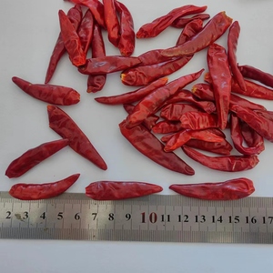 Peperoncini Secchi Piccanti di Media Intensità in Confezione Grande, Spedizione in Contenitore, Etichetta Privata, Peso Personalizzato, Materiale per Condimenti Alimentari - Product Image 2