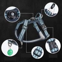 Harnais pour chien en nylon respirant anti-traction avec couvercle de localisateur lumineux et anneau en D métallique – Sûr pour les promenades nocturnes et les voyages en voiture