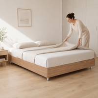Sommier de lit de taille personnalisable en tube d'acier et contreplaqué, design moderne et simple, capacité de charge de 400 kg, revêtement thermolaqué