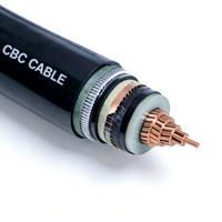 Câble électrique souterrain monophasé en cuivre XLPE PVC de moyenne tension 11kV 15kV 22kV 30kV 33kV 11 33 KV 400mm2 500mm2