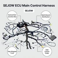 Arnés de Cableado de Control Principal para Vehículos Autónomos SEJOW, Caja de Conexiones ECU Personalizada OEM, Multirama, IP67