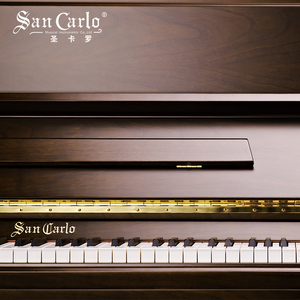 Piano droit San Carlo 123csw de qualité professionnelle pour examen et performance haut de gamme, modèle 123csw professionnel offrant des performances élevées - Product Image 3