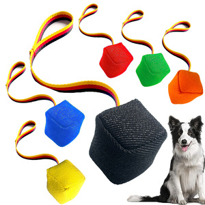 Juguete Interactivo Resistente a Mordeduras para Perros Pequeños/Medianos, Equipo Profesional de Entrenamiento Canino, Modelo para Lanzar y Masticar - Product Image 1