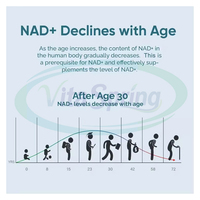 Capsules VitaSpring OEM NAD Plus NAD+ Berberine Acide Hyaluronique Complément Énergétique Vitamine 500mg 1000mg Capsules NAD+ Resvératrol