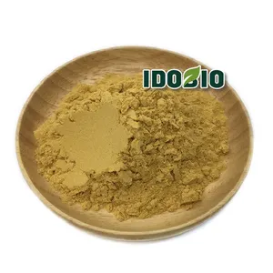 Aloe Vera Extract Powder 100% Natural Factory Price