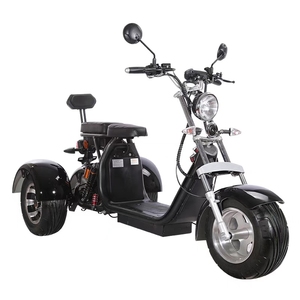 2020 New <strong>Model</strong> 3 Wheels <strong>EEC</strong> Approved Citycoco 2000W Motor 3 Wheels <strong>EEC</strong> Electric Scooter Old People Ride Tricycles - Product Image 6
