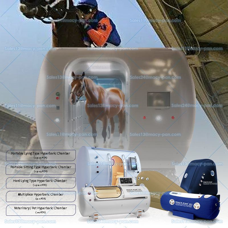 Wholesale Reusable Multi seater Pet Hyperbaric