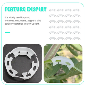 Clips <span class=keywords><strong>de</strong></span> support anti-pliage pour plantes, clips <span class=keywords><strong>de</strong></span> greffage blancs pour tomates, clips pour tomates - Product Image 4