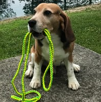 2025 nouveautés faites à la main Paracord chiens harnais accessoires pour animaux de compagnie rétractable luxe chien collier et laisse ensemble