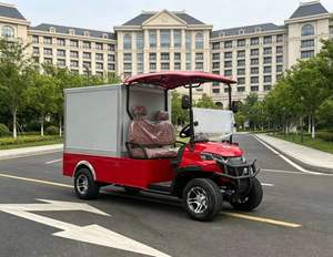 Carrito de Golf Eléctrico de 2 Plazas con Caja de Carga Cerrada, Buggy de Golf Resistente para Entregas en Carreteras No Públicas - Product Image 1