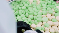 Macarons aromatisés au thé en gros, biscuits sandwich, gâteaux fermentés sucrés, emballage en boîte, fabrication OEM/ODM, usine du Vietnam, sucre