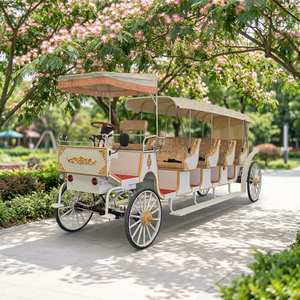 Chariot de tourisme électrique de luxe populaire à 4+1 rangées pour parcs équestres - Product Image 2