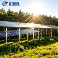 Kit de ferme solaire photovoltaïque forestière à grande échelle avec système de support au sol à grande hauteur pour l'installation photovoltaïque en forêt