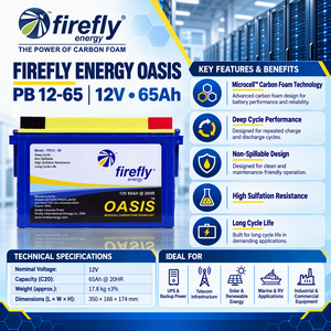 แบตเตอรี่ตะกั่วกรด Firefly Oasis PB 12-65 (12V 65Ah) แบบคาร์บอนโฟม ดีฟไซเคิล ทนทานต่อการเกิดซัลเฟตสูง ไม่รั่วไหล ใช้งานได้นาน 20 ชั่วโมง - Product Image 1