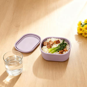 Recipiente Cuadrado de Silicona de Grado Alimenticio de 200 ml para Bebés, con Tapa, Resistente a Caídas, Apto para Microondas y Altas Temperaturas - Product Image 5