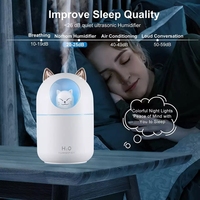 Humidificateur de table 300 ml USB avec lumière douce effet coucher de soleil, diffuseur d'arômes pour voiture