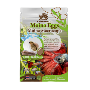 Œufs de Moina macrocopa (eau douce) — Pour l'éclosion en nourriture vivante pour poissons, fabriqués en Thaïlande, 100 % naturels - Product Image 2