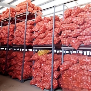 Tươi Bán Buôn Đỏ Hành Tây Giá Rẻ Giá Xuất Khẩu Nhập Khẩu Hữu Cơ Tươi Trắng Vàng Hành Tây Nhà Cung Cấp Trung Quốc Nhà Máy - Product Image 5