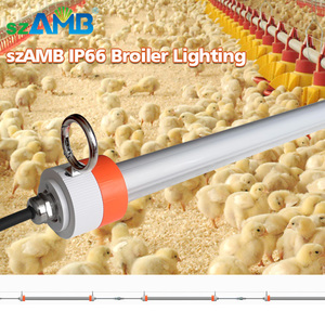 Lampada Tubolare LED con Design Brevettato e Certificato <span class=keywords><strong>AMB</strong></span> per Uso in Allevamenti Avicoli - Product Image 3