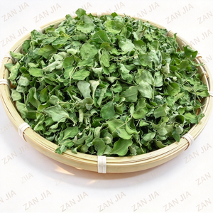 Moringa Oleifera Lam. de Grado Alimenticio Extracto de Hoja 10:1, <span class=keywords><strong>Polvo</strong></span> Soluble <span class=keywords><strong>en</strong></span> Agua al 80%, Materia Prima Envasada al Vacío <span class=keywords><strong>para</strong></span> Uso Dietético - Product Image 2