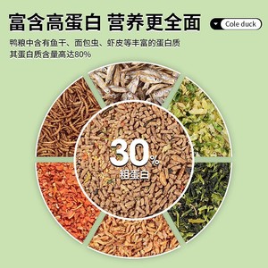 Aliment de démarrage équilibré Crown Asia pour poussins et oisillons avec vers de farine et poisson séché pour oiseaux toutes saisons - Product Image 3