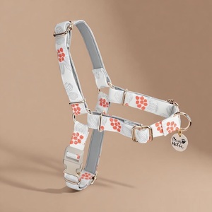 Arnés de Perro de Lujo Talla S, Moderno, Anti-Tirones, Cómodo, de Algodón Transpirable, Ecológico, Duradero, Lavable y Encantador - Product Image 1