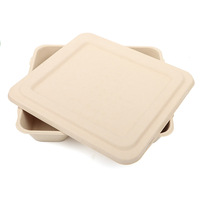 Échantillon gratuit Récipient à emporter Boîte alimentaire en papier Canne à sucre Jetable Bento Traiteur Déjeuner