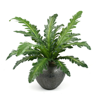 Plante artificielle réaliste en forme de nid d'oiseau, 18 têtes, 50 cm, plante verte artificielle en pot pour la décoration murale intérieure et extérieure du bureau