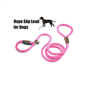 Tali Slip kepang latihan anjing tanpa tarik, tali timbal tugas berat ramah lingkungan sederhana poliester padat unik - Product Image 3