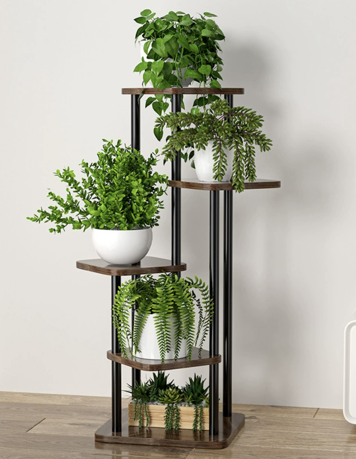 Cadre Noir + Brun Moka