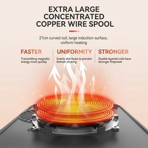 <span class=keywords><strong>Table</strong></span> de cuisson à <span class=keywords><strong>induction</strong></span> portable DC à économie d'énergie, compatible solaire/batterie, commande tactile, fonction friture, pour usage domestique, extérieur et VR - Product Image 3