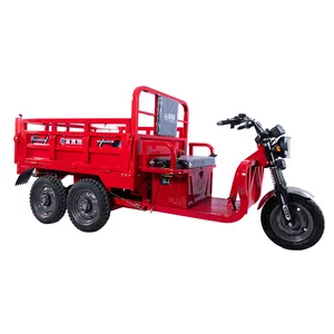 Double Rear Axle Electric Tricycle Vehicle Heavy Loading Cargo Tricycle