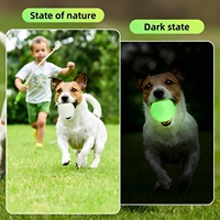 Lanceur de balles pour chien AFP Night Playing Interactive Pet Toy, léger, mains libres, design qui brille dans le noir, avec balle ETPU de 6 cm