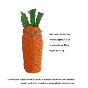 Jouets naturels en loofah pour lapins et cochons d'Inde : jouet carotte, accessoires de mastication pour le nettoyage des dents molaires - Product Image 6