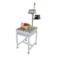 Balance à rouleaux de convoyeur de haute qualité de 300kg en acier inoxydable avec indicateur LCD et peseuse de contrôle d'imprimante