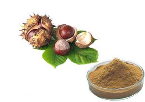 Extrait de marron d'Inde de qualité supérieure, 20 % d'ascine, extrait standardisé de graines d'Aesculus hippocastanum - Product Image 1