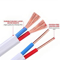 Kundenspezifischer Hersteller BVVB Flaches Elektrokabel 1,5mm2 2,5mm2 4mm2 Massives Kupfer PVC-Isoliertes Baukabel
