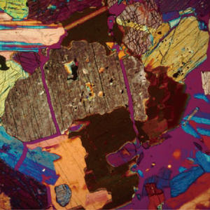 BestScope BS-5064RF excellent <span class=keywords><strong>microscope</strong></span> polarisant trinoculaire pour les laboratoires d'enseignement universitaire - Product Image 6