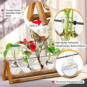 Nueva Estación de Propagación de Escritorio para Jardín, Maceta de Cristal con Soporte de Madera, Terrario Cilíndrico, Florero con Bombilla de Aire - Product Image 4