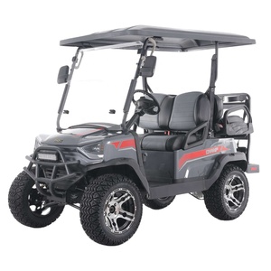 Tao Motor 2026 Nuevo Carro de Golf Utilitario Chino de 4 Ruedas y 48V, Certificado por la CEE, Buggy de 5KW con 3-4 Asientos, Carro de Golf Utilitario - Product Image 3