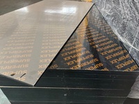 Contreplaqué architectural écologique de haute qualité certifié, 18 mm, revêtement noir, pour la construction de bâtiments de grande hauteur et de ponts