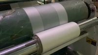Machine à film soufflé automatique à deux couches haute productivité pour LDPE HDPE