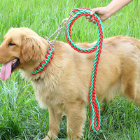 Paracord-Cuerda de alta resistencia para perro, cuerda de nailon fuerte trenzada hecha a mano, Collar de perro, Correa